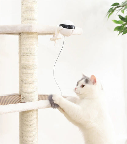 Automatic Retractable Teasing Ball - Cutier Store