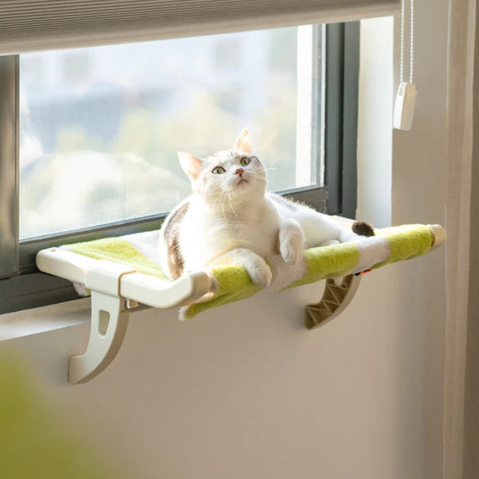 Cutier Cat window Hammock - Cutier Store