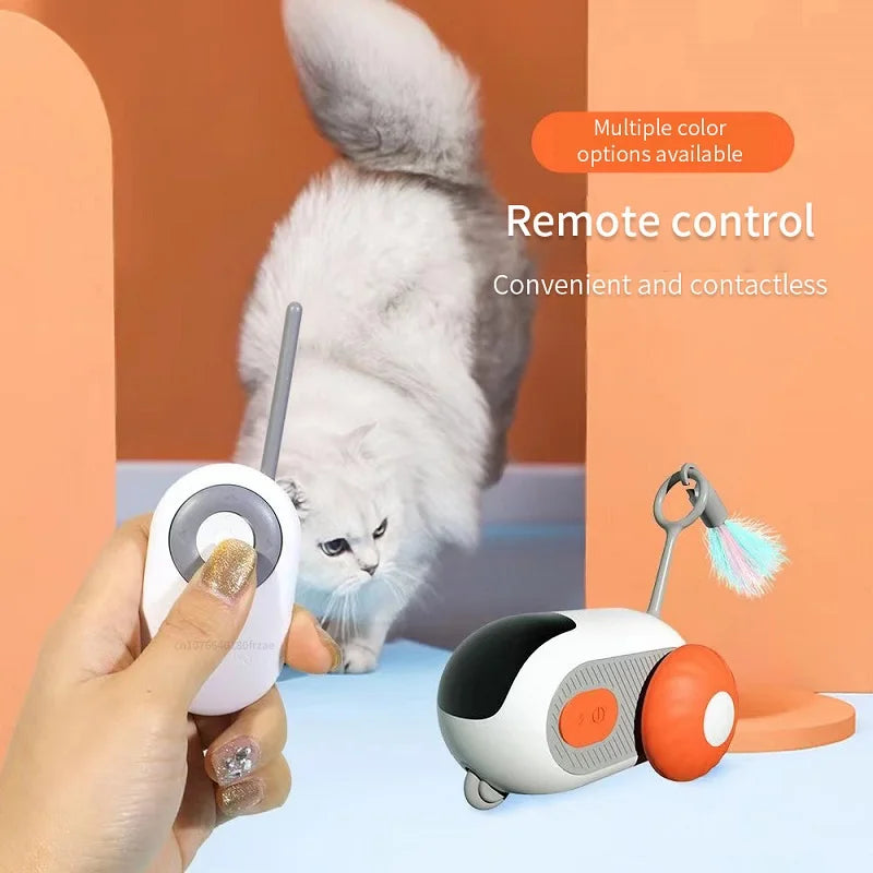 Smart Cat training Toy