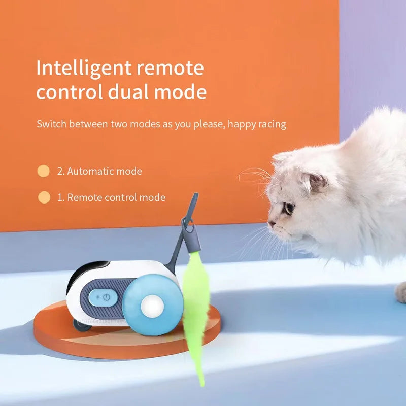 Smart Cat training Toy