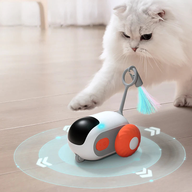 Smart Cat training Toy