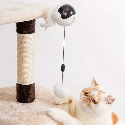 Automatic Retractable Teasing Ball - Cutier Store