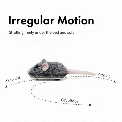 Rechargeable Moving Mouse Cat Toy – Interactive Sound & Motion for Kittens - Cutier Store