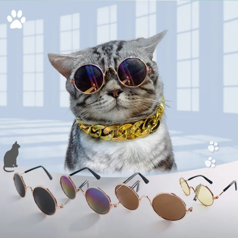 Lovely Cat Sunglasses