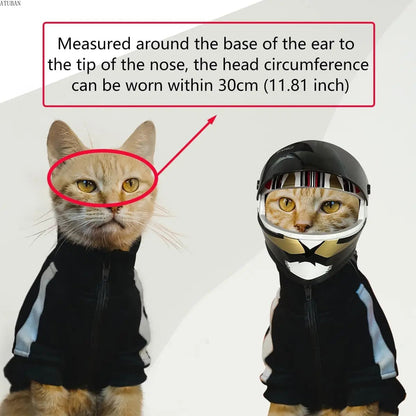 Cute Pet Helmets, Cat ,Dog Helmet - Cutier Store