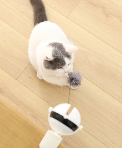 Automatic Retractable Teasing Ball - Cutier Store