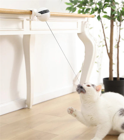 Automatic Retractable Teasing Ball - Cutier Store