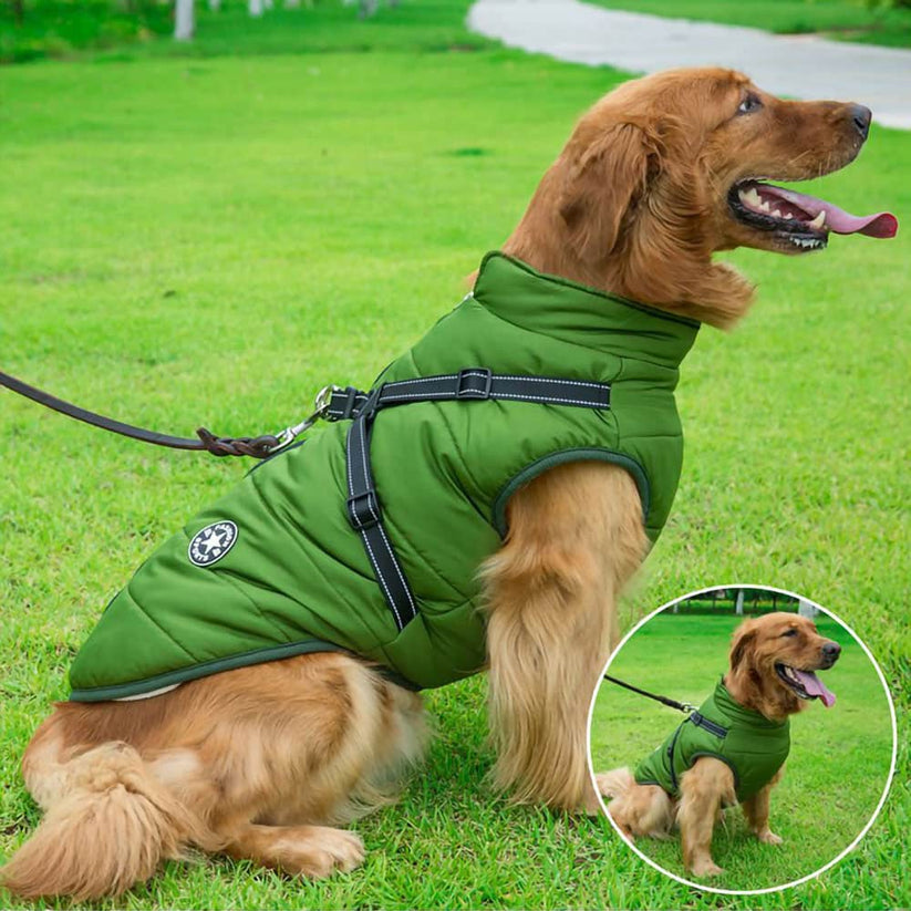 CatsStore® Dog Winter Jacket With Harness