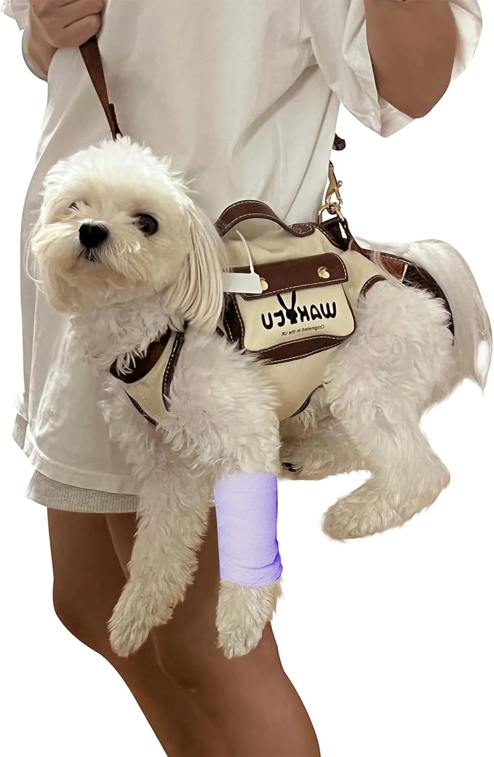 Pet carrier harness