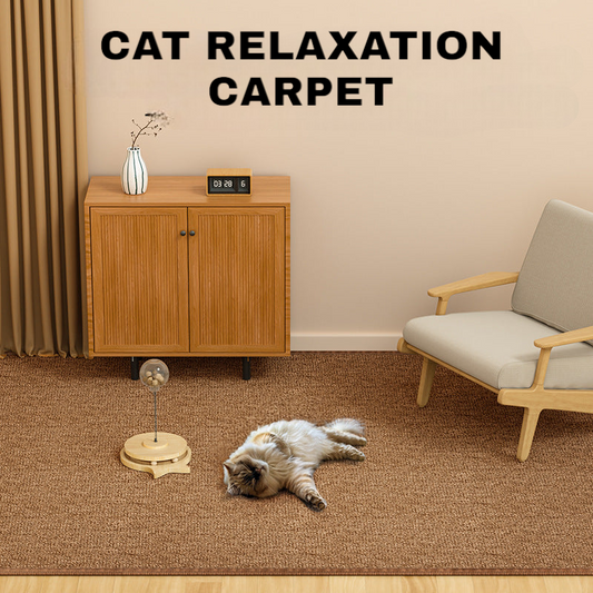 Cat Scratch Resistant Rug Carpet