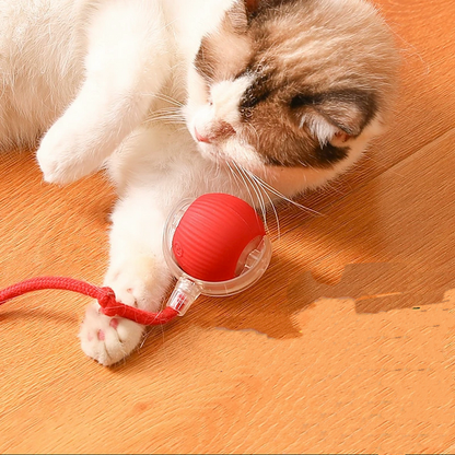 Smart Cat Interactive Ball Chug Ball Self rolling Cat tut-tut Ball - Cutier Store