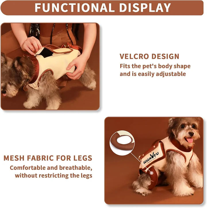 Pet carrier harness