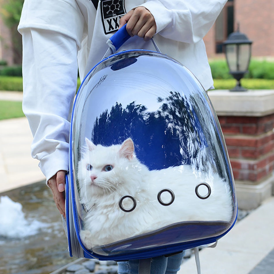 Cat Backpack