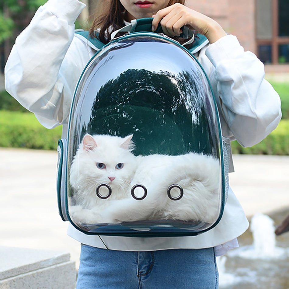 Cat Backpack