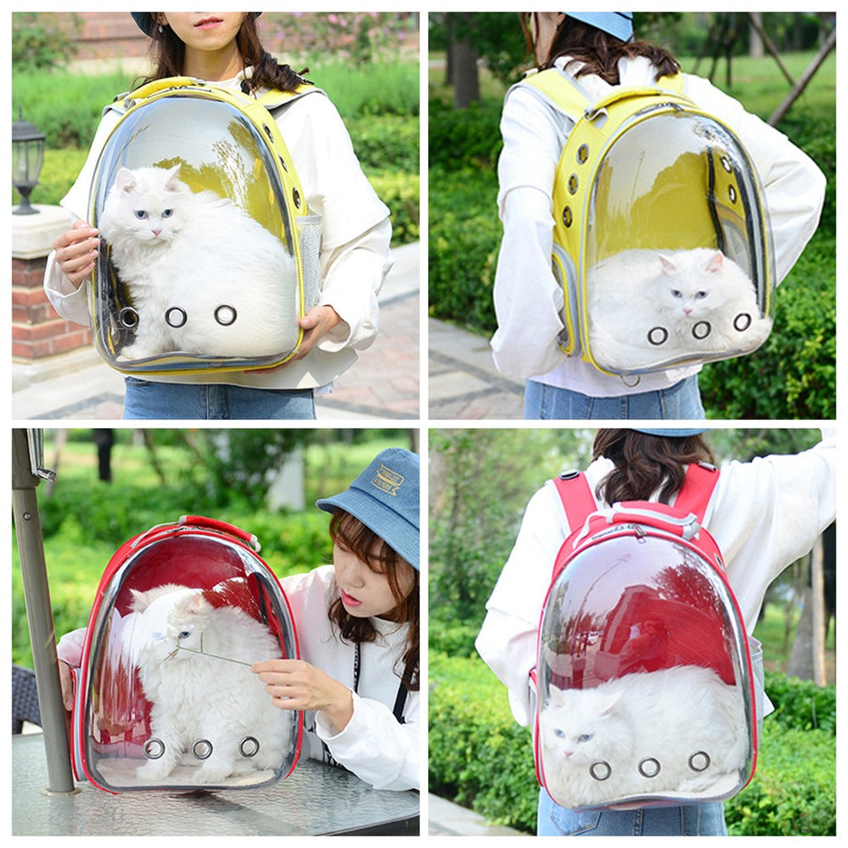 Cat Backpack