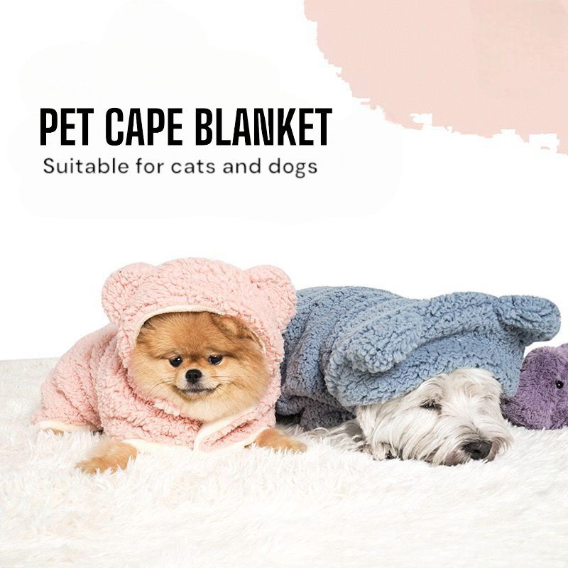 Pet blanket dress