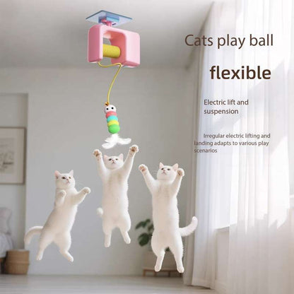 Smart Electric Door-Hanging Cat Yo-Yo Toy – Interactive Self-Play Amusement Toy - Cutier Store