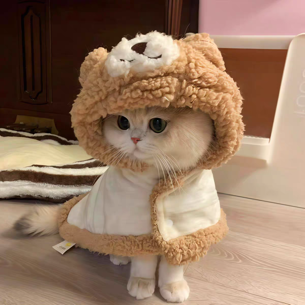 Pet winter Warm cute bear cape blanket ❄️