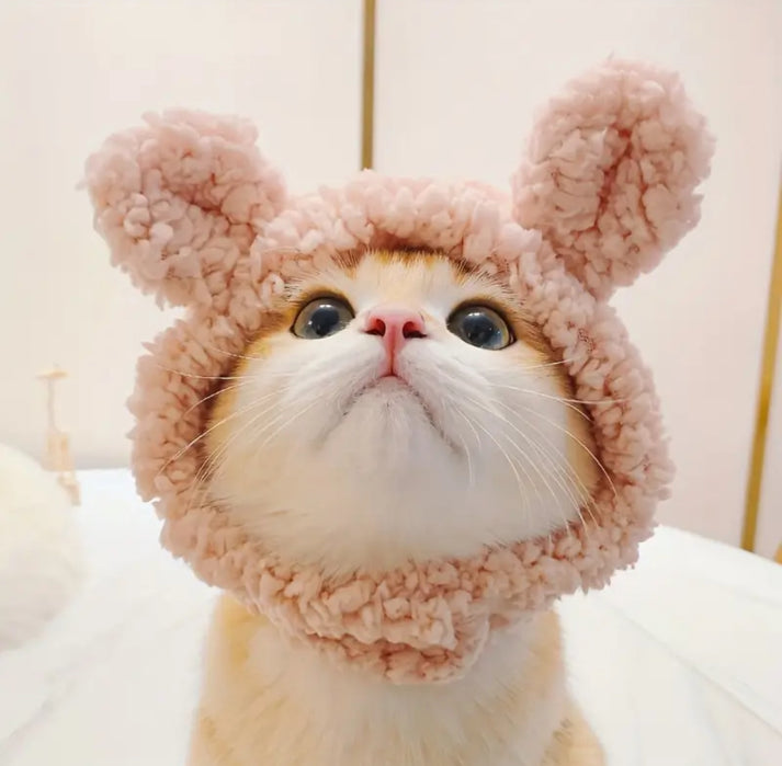 Cute Winter Pet Bear Hat