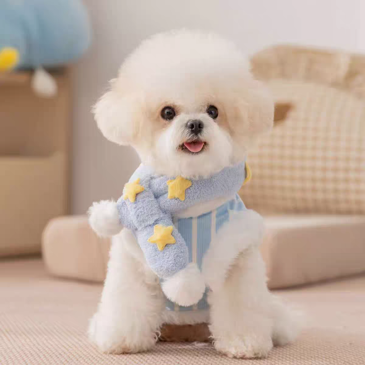 New autumn/winter dog cat clothes, starry striped scarf, leash vest