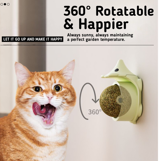 360° Minty Relaxer | Soothe, Scratch, and Groom - Your Cat's Bliss!