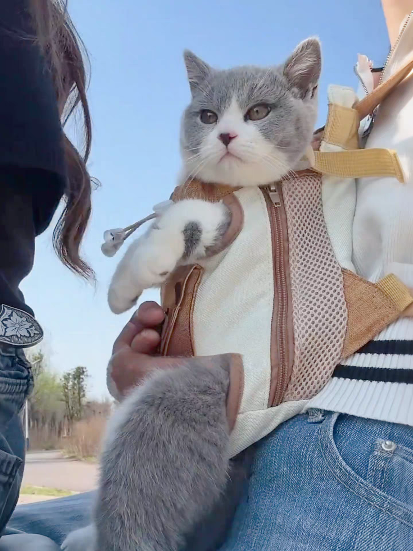 Front Chest Cat Backpack Carrier