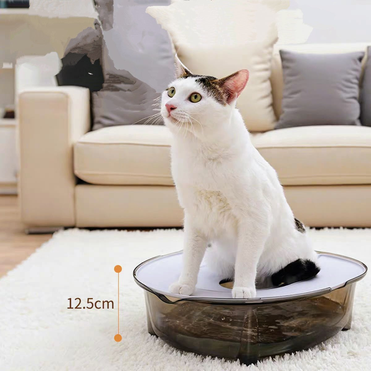 Litter-Free Crystal Cat Toilet – Eco-Friendly Splash-Proof Training Basin for Odor Control