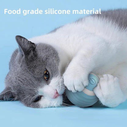 Cat Interactive Ball - PP38 - Cutier Store