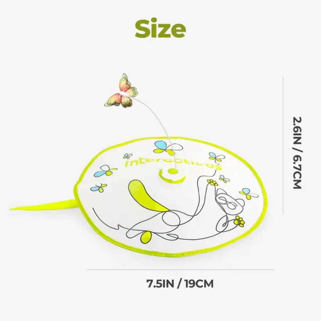 Hide and seek cat interactive teaser hunting toy