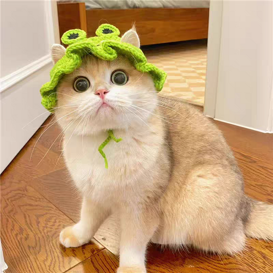 Crochet Cat dog Hat