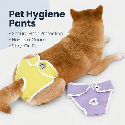 Dog wearing yellow pet hygiene pants with a purple one on the side, on a white background.