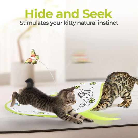 Hide and seek cat interactive teaser hunting toy