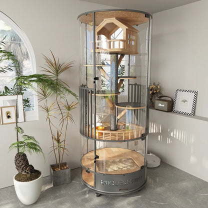 Luxury Glass Cat Villa | 360° Cat House for Modern Homes with free shipping