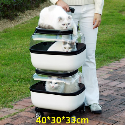 Pet Trolley transparent Suitcase - Cutier Store