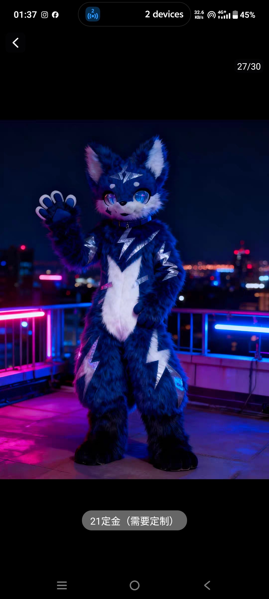 Custom Full Fursuit