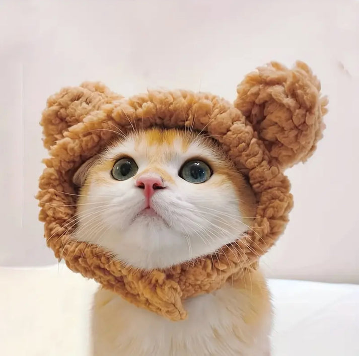 Cute Winter Pet Bear Hat