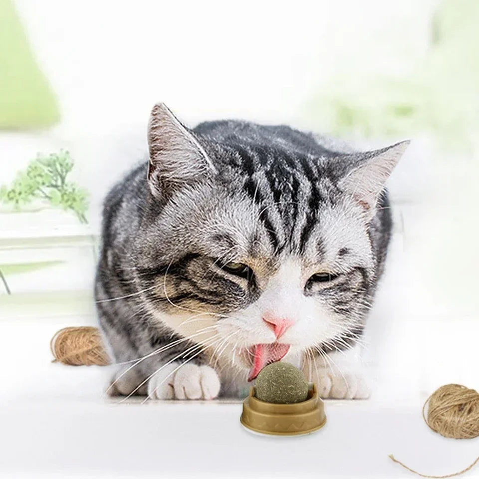 Catnip licking Ball For Cats