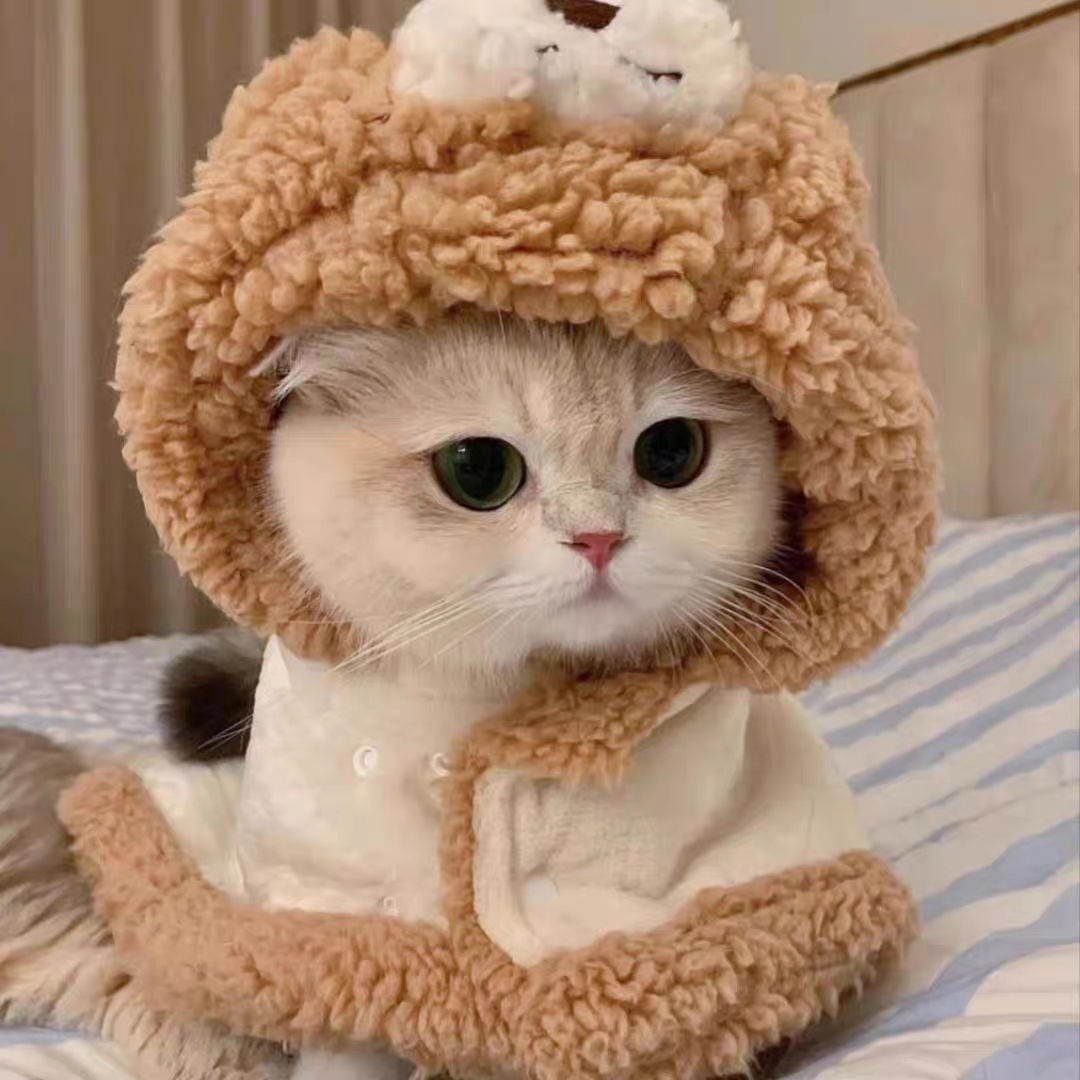 Pet winter Warm cute bear cape blanket ❄️