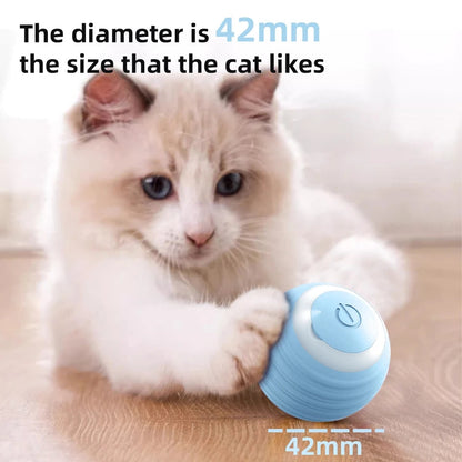 Cat Interactive Ball - PP38 - Cutier Store