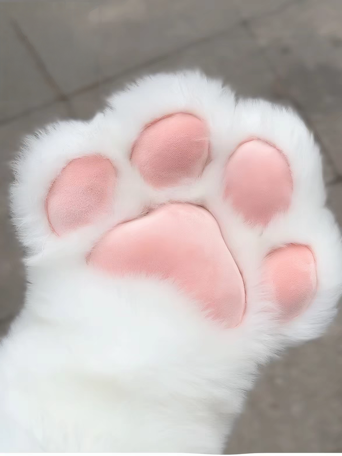 Cute cat paw glove claws  anime-style