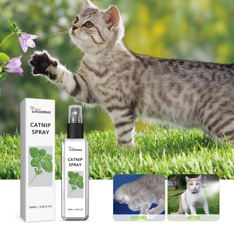 Catnip happy Spray for pet bedding, scratching etc