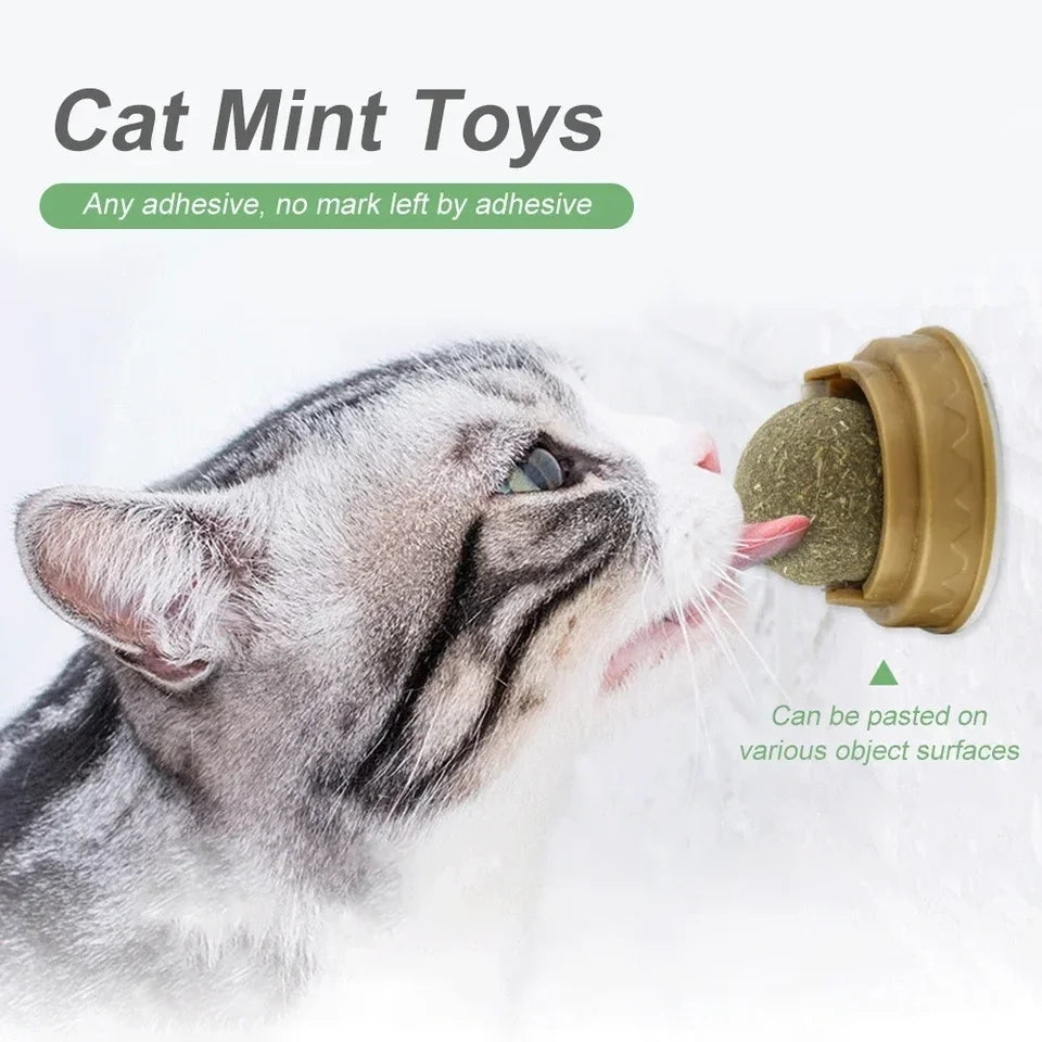 Catnip licking Ball For Cats