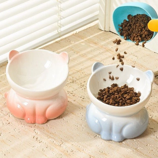 Cat Food Bowl