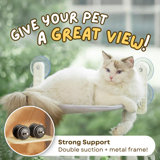 Cat Window Hammock - Cutier Store