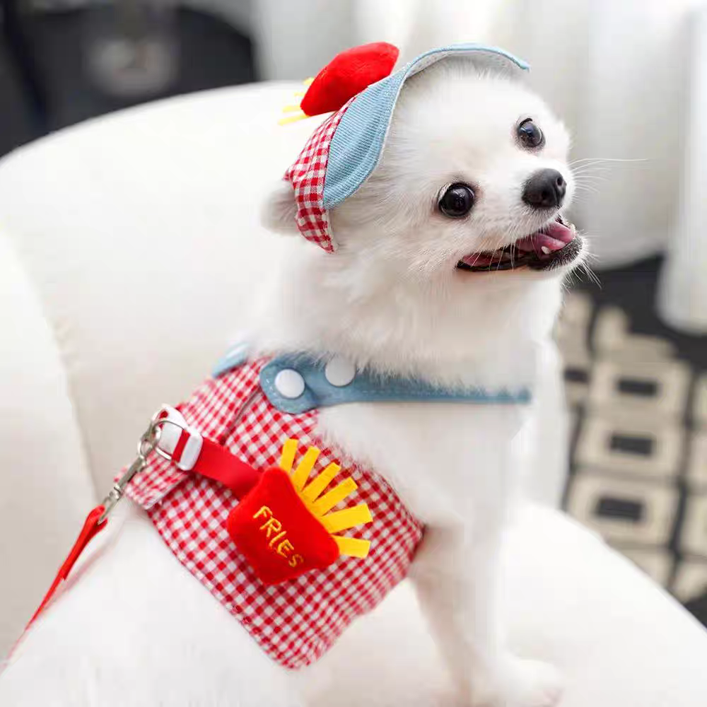 Cute Pet Harness set