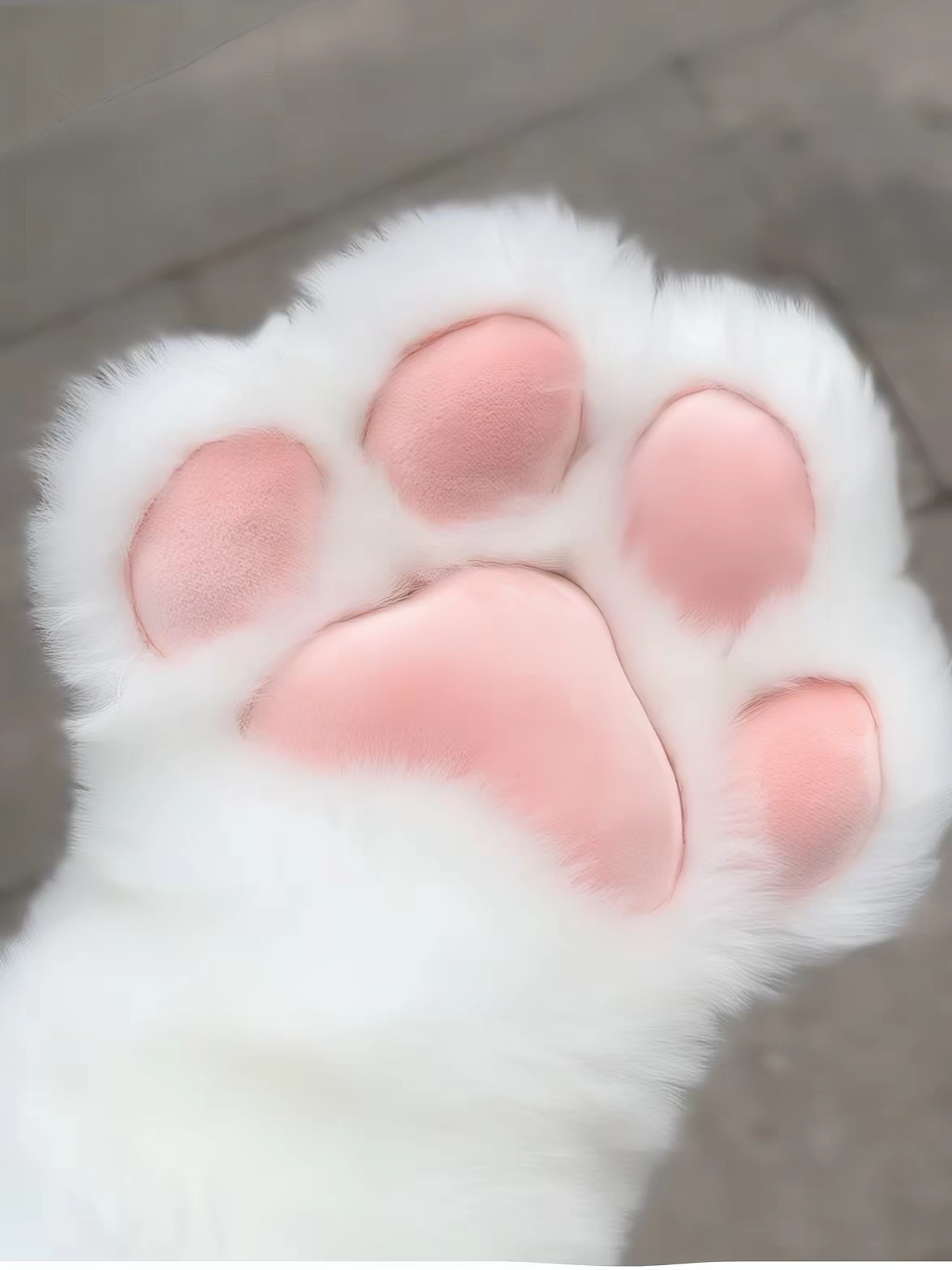 Cute cat paw glove claws  anime-style