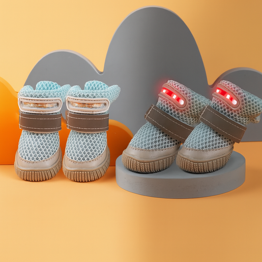 Cuter Dog shoe with LED lights