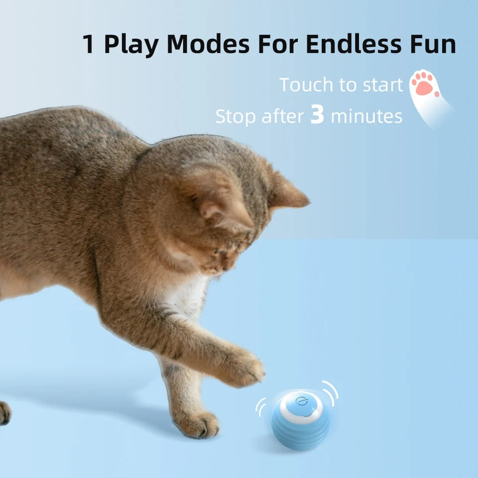 Cat Interactive Ball - PP38