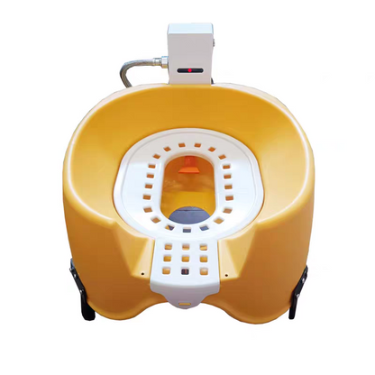 Luxury Automatic Flushing Cat Toilet