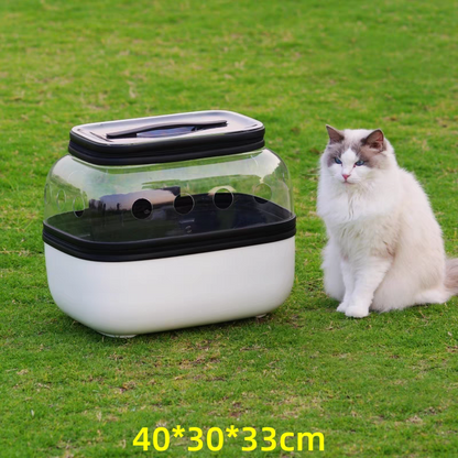 Pet Trolley transparent Suitcase - Cutier Store